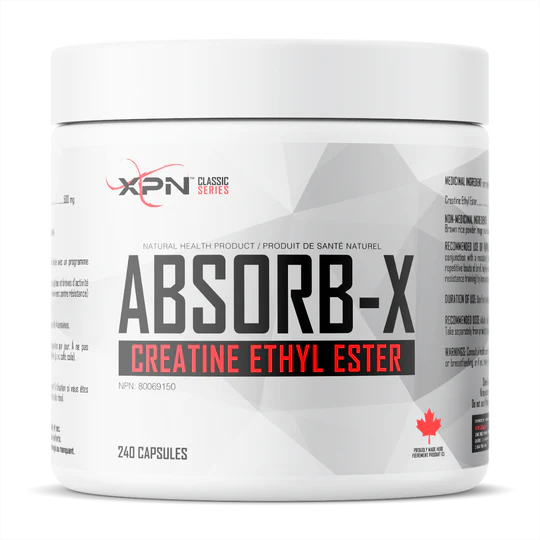 XPN - Absorb-X Créatine Éthyl Ester, 240 capsules
